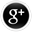 Google Plus icon and link